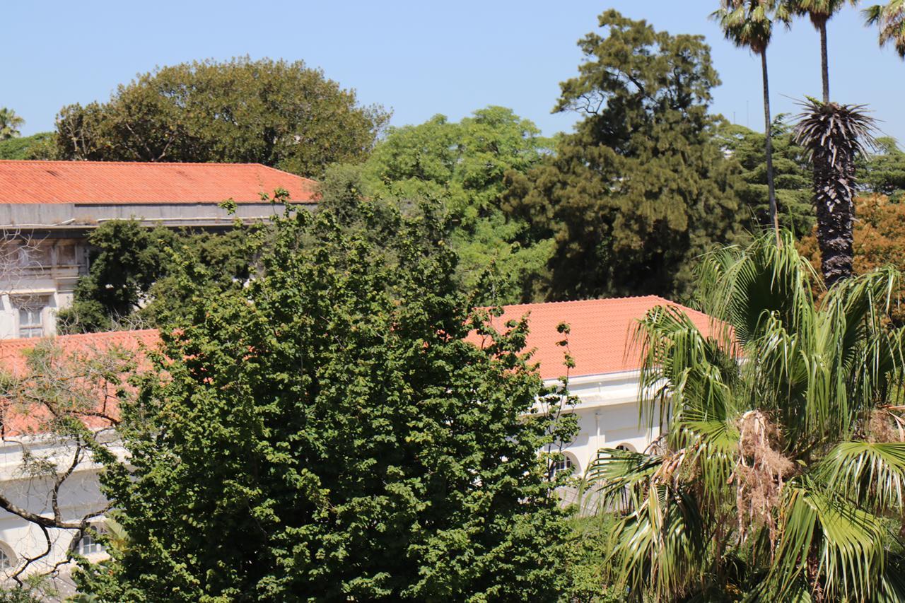 Botanic Views Guest House Lisbon Exterior photo