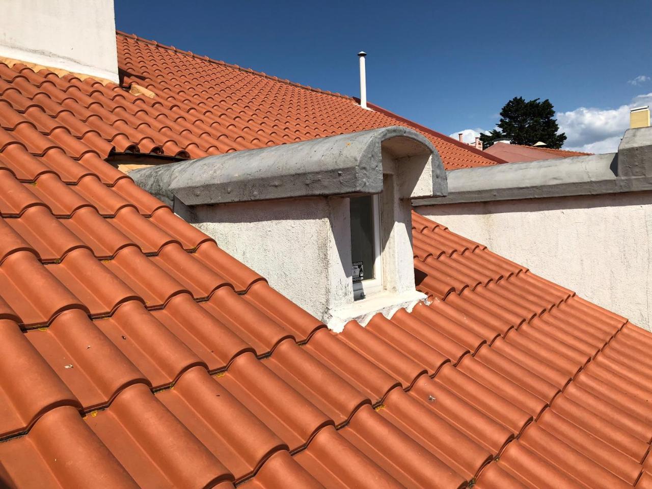 Botanic Views Guest House Lisbon Exterior photo